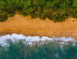 IEA Report: What's the Impact?